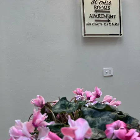 Apartamento Miniapartment Alcorso *